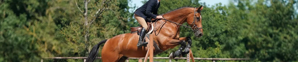 Cheval Saute obstacle de Hunter